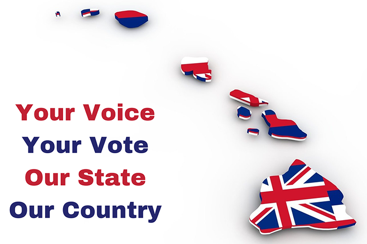 Link to the Government Accountability page