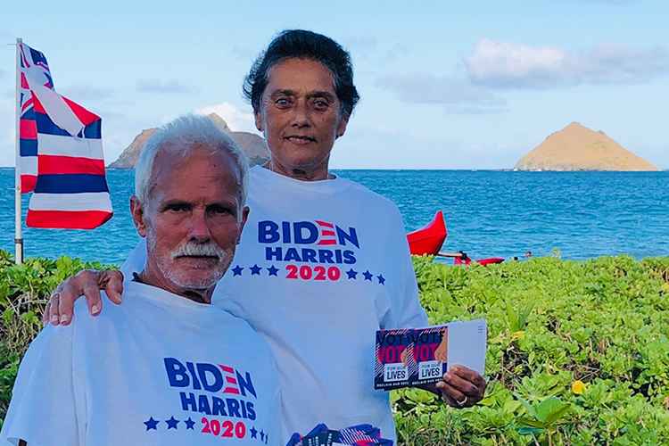 Link to National Voter Registration, Blue Wave